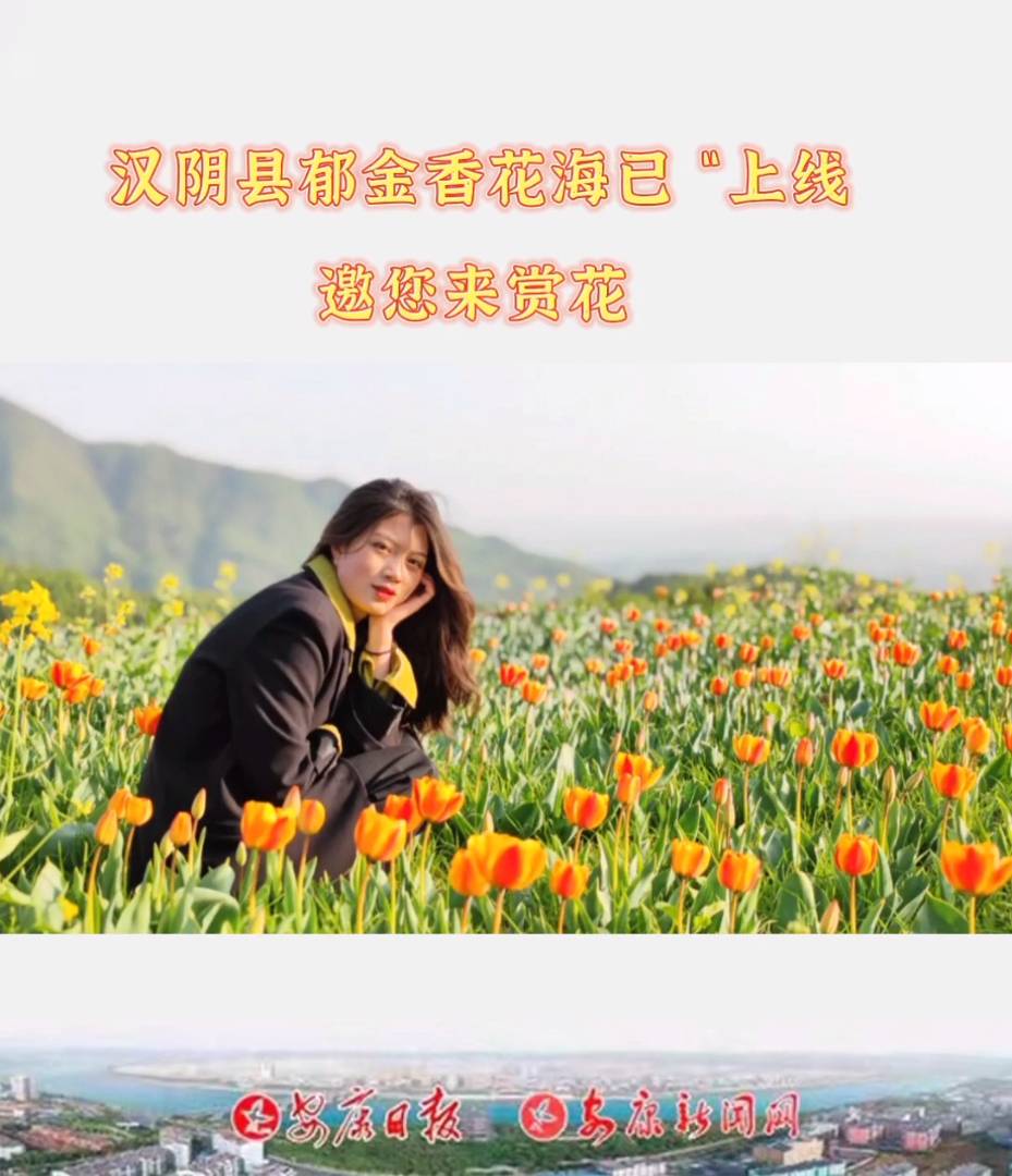 �����������򶫺Ӵ�����İ�Ķ�������Ȼ����