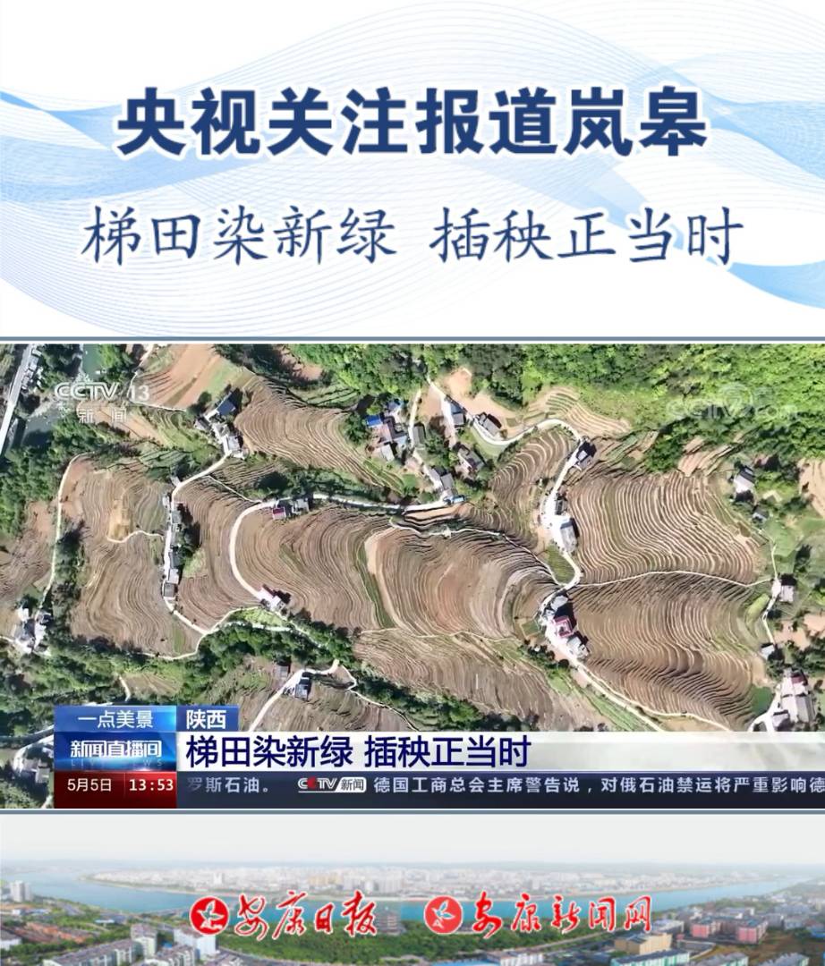 ���ӹ�ע����᰸����Ϲ�ɽ��𻨴塪��������Ⱦ���� ��������ʱ����