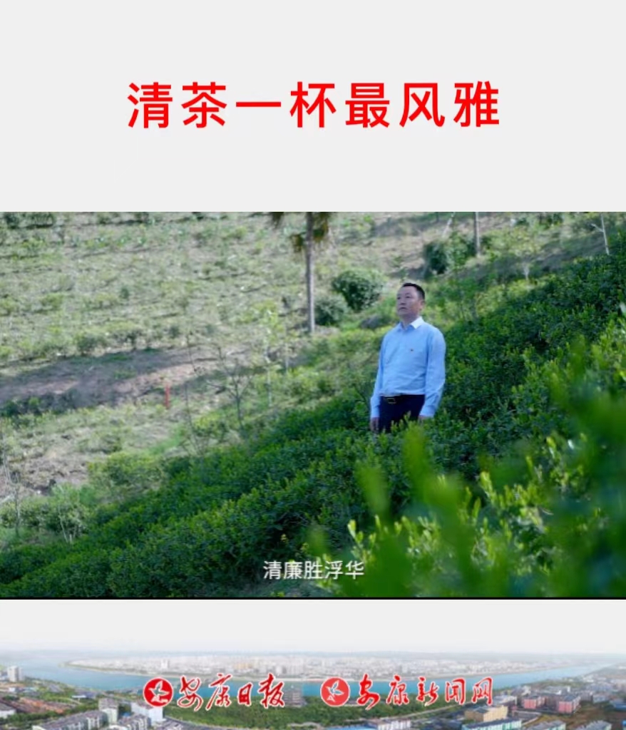 ���һ������š���᰸��ع�Ԫ��ί��ǳ��ر�����Ʒ᰸޸����裡