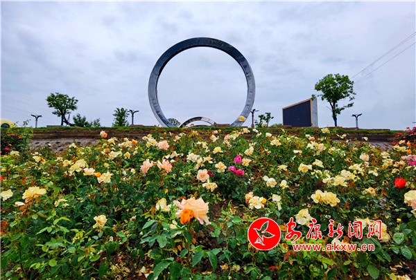 �������ʻ�����