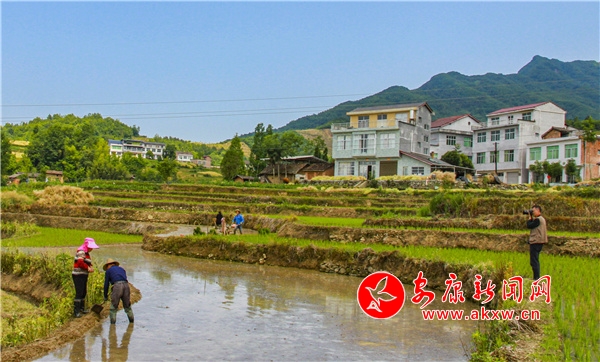 �������߹����� ����ũæ����ʱ