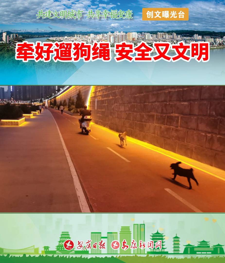 �޹�Ҫ˩ǣ����