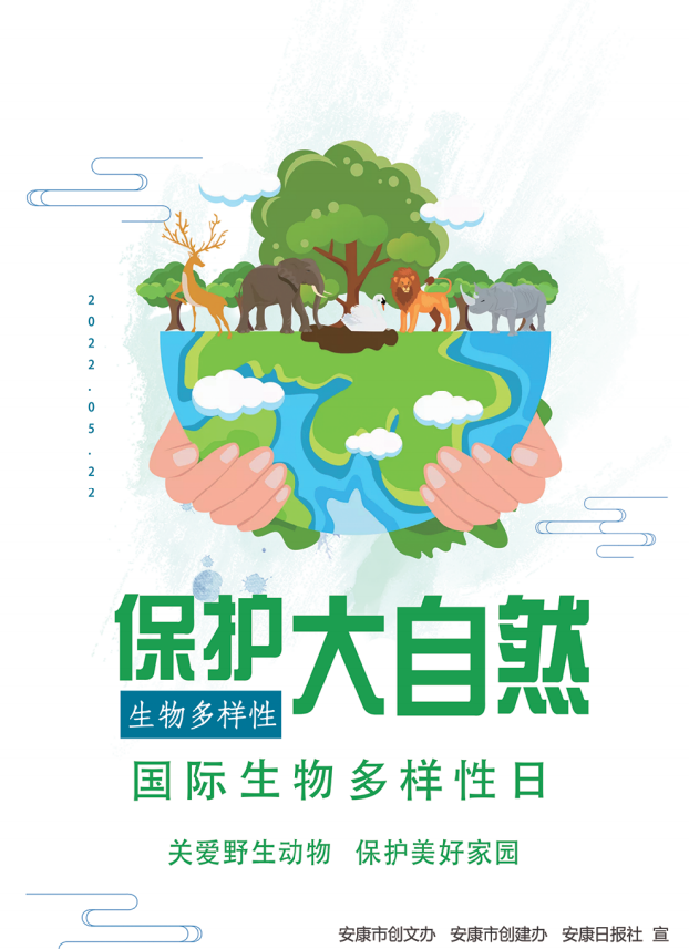 ��������Ȼ