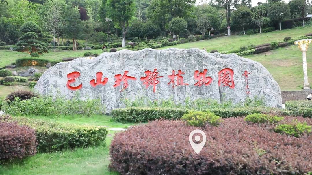 ᰸�����ֲ��԰