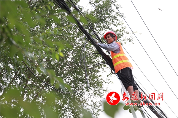 ǰ�����������п�����������