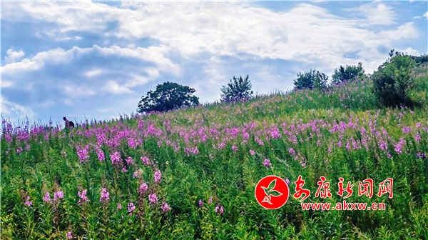 ������ݵ� �����ͻ���