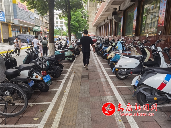 ������ѧͣ������