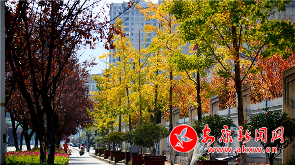 ��Ⱦ���� ��ʰ��������