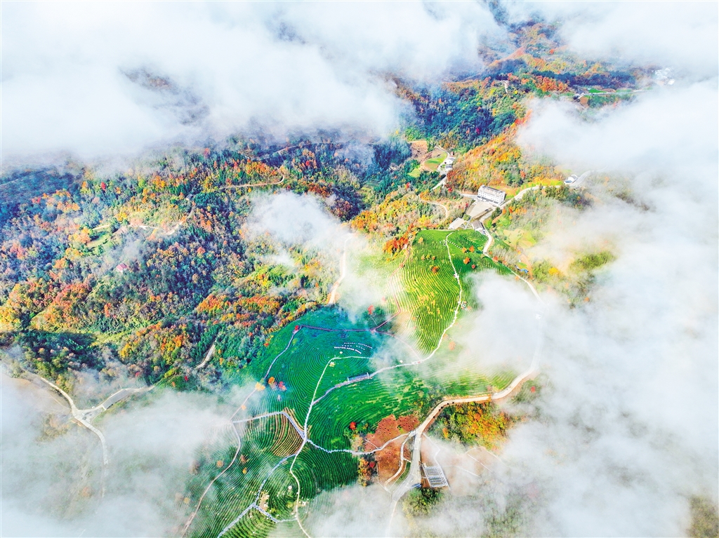 �������������