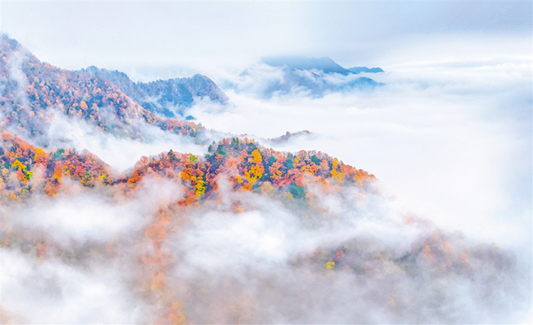 ����ʯȪ ��������