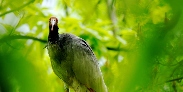 ���� ���q֮Լ