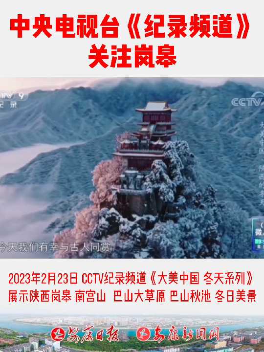 �������̨����¼Ƶ������ע᰸�