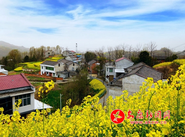 ���Խ��Խ����