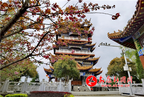 ���������ڹ�԰ӣ��ʢ��������