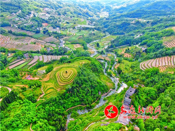 �����������ｭ