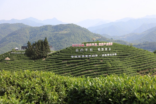 2023�����ʲ��ա��й�������ڼ� ���ҵ���ȫ��������