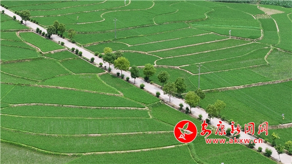 ���������յ������ⰻȻ ���������ʫ�续