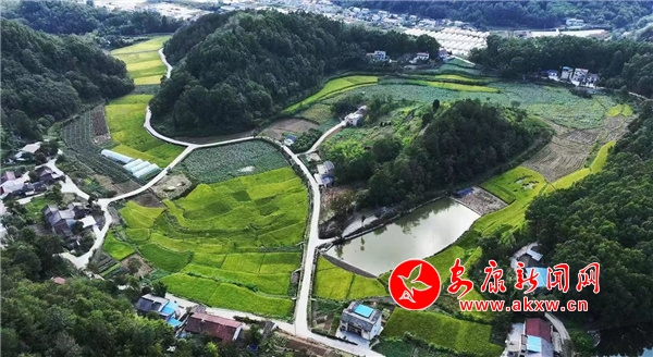 ʯȪ����塰��ֵ�ߡ� ���á��ο�����