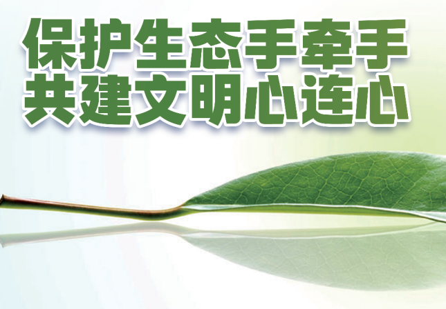 ������̬��ǣ�� ��������������