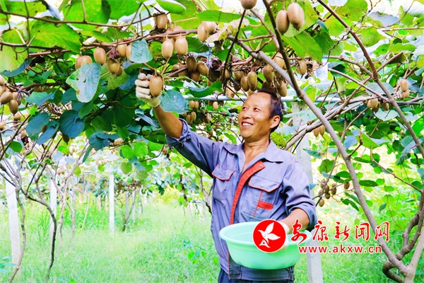 ��⨡���Ϯ����������⨺���ϲ�����