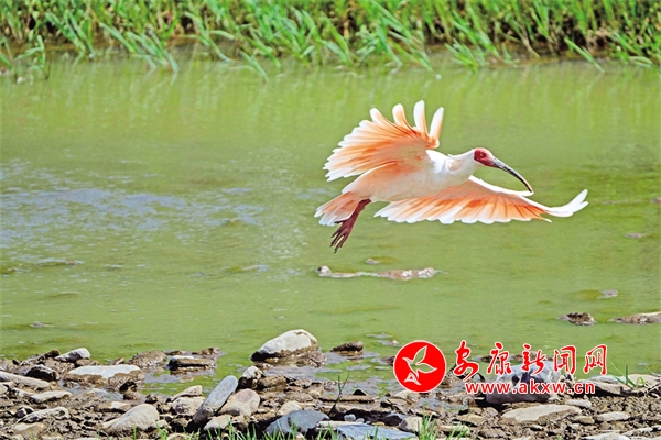 ����ɽˮ�����q