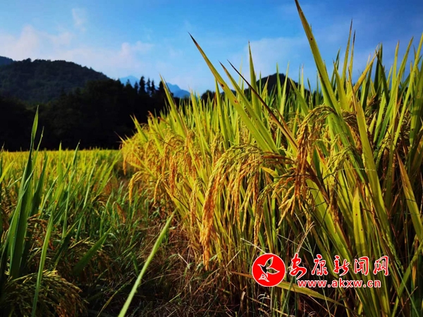 ����ӭ��չ