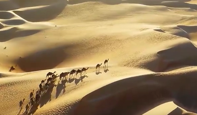 ��ͨ����֮·����һ�������ͬ�С�һ���ӵ���