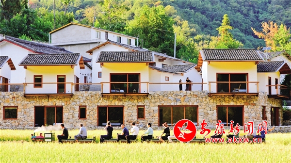 ������ɫ������