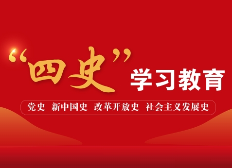 ����ʷ��ѧϰ����