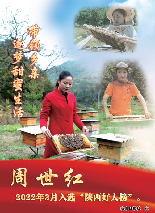 �������� ������������