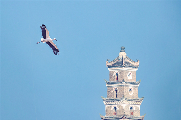 ����������������