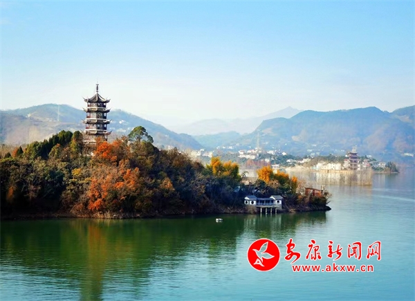 ����孺����羰����