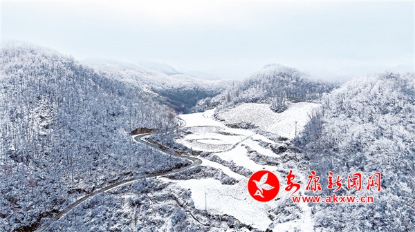 ������ѩ