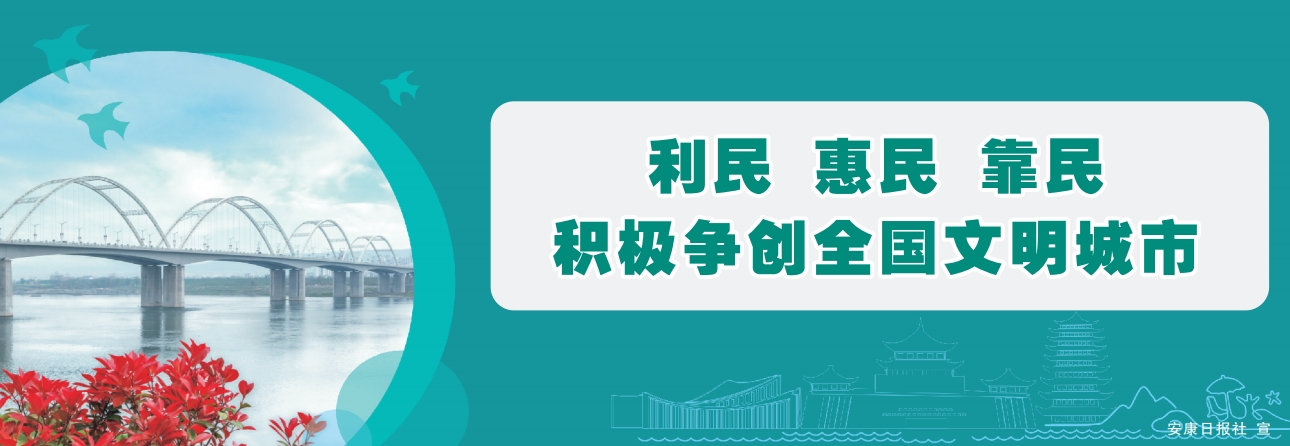 ���� ���� ���� ��������ȫ����������