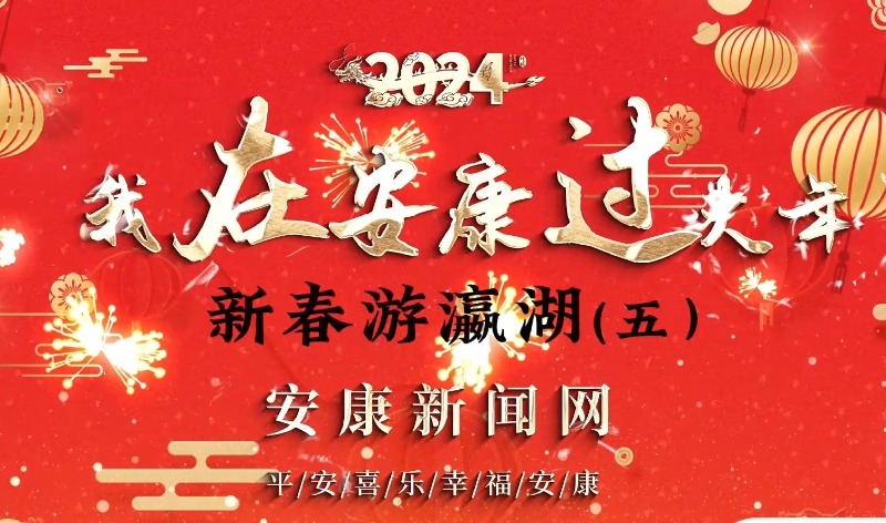 ���ڰ��������ꡪ���´���孺�