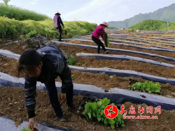 ��ƺ��4000Ķ��������ȫ���̿�