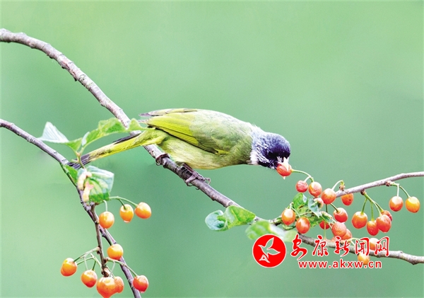 ���;���̤��ȥ ������������