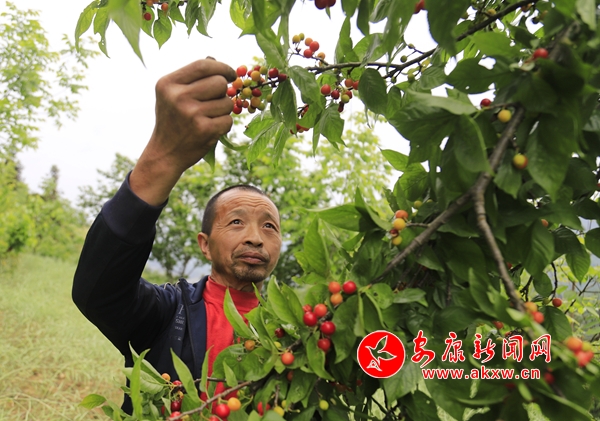 ᰸��أ�ӣ�ҡ�ӳ�족���������¸�·