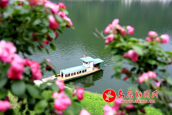 �̲�����ӳ��Ӱ