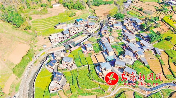 ���°����÷��