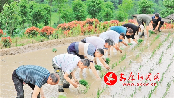 ��ץũʱ����æ