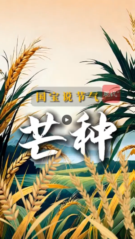 ΢��ͼƬ_20240605205215.png