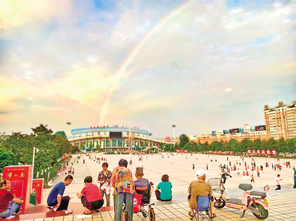 һ��ʺ����鶯