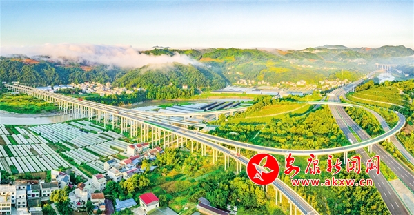 ������̹; ��ͨ����ƪ