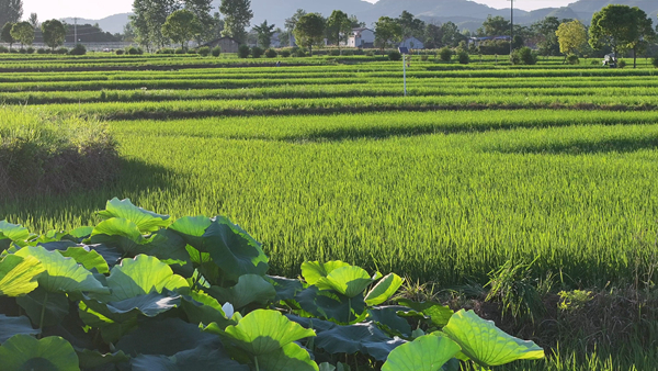 ���յ������ⰻȻ