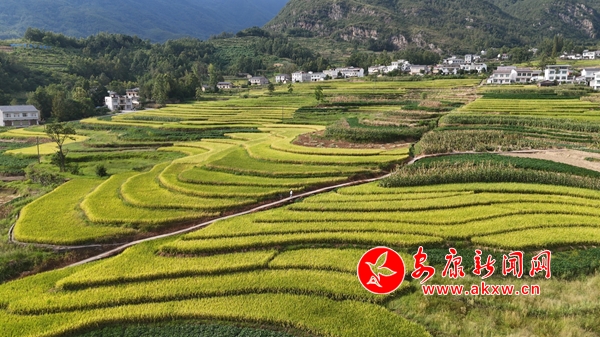 ˮ�����չ��æ