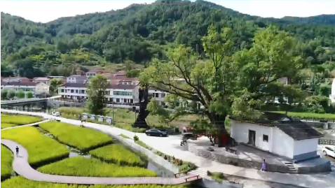 ����˫�ӿ��򣺵������չ����