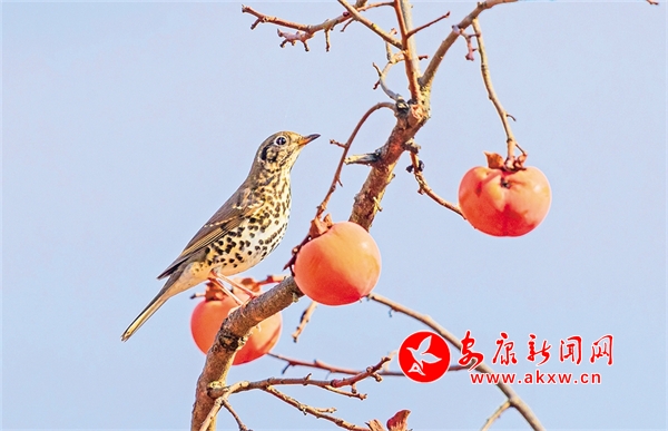 ������������ʱ