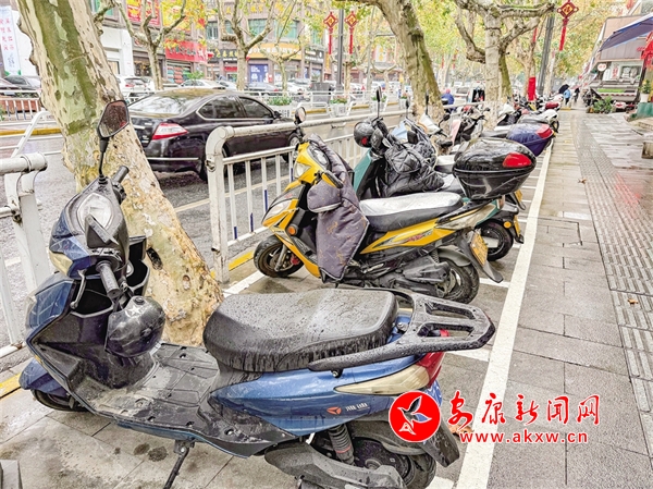 ����ͣ��