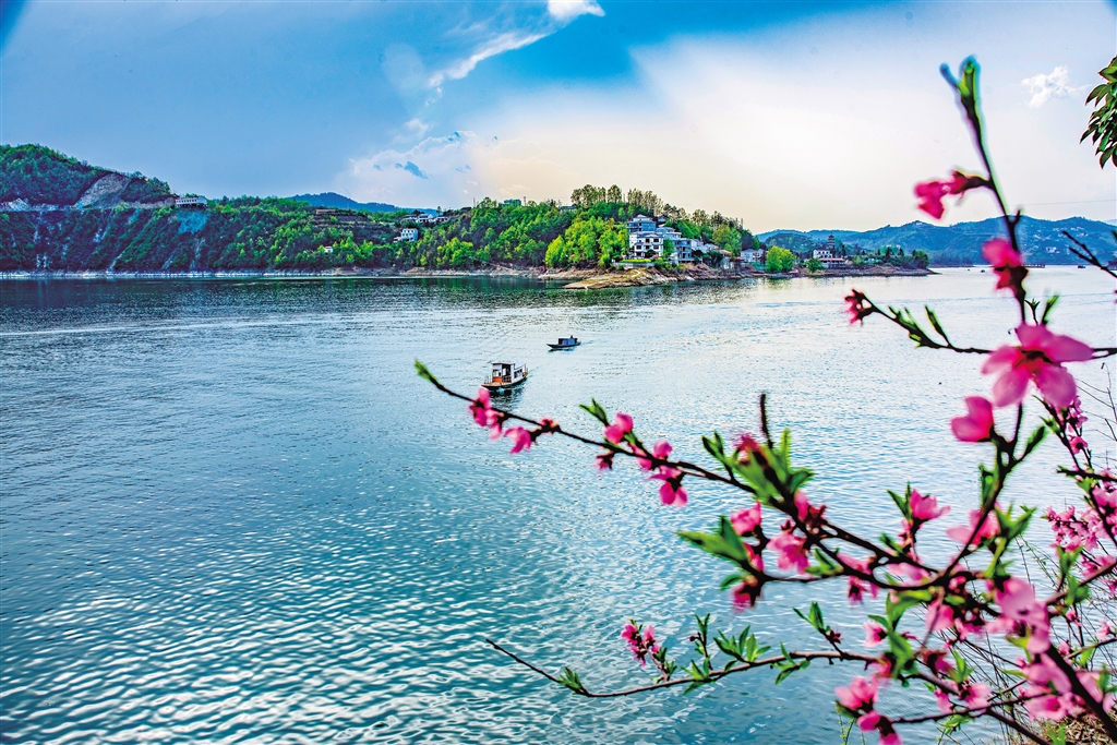 ����̺� ��֦��ɫ